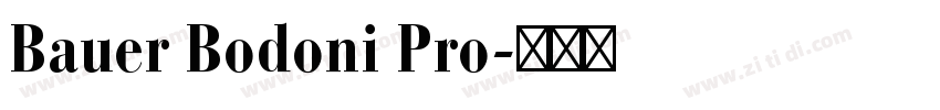 Bauer Bodoni Pro字体转换